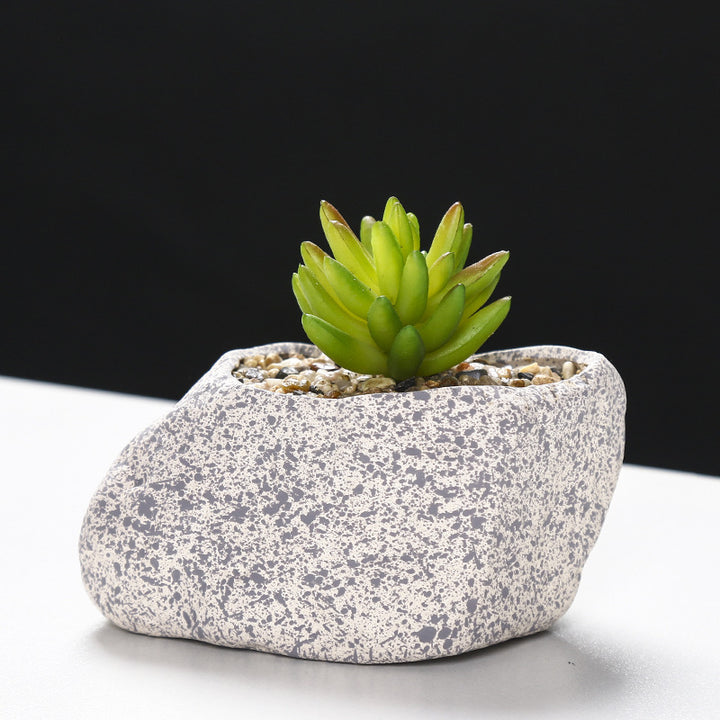 Creative Stone-Shaped Succulent Planter Bowlift
