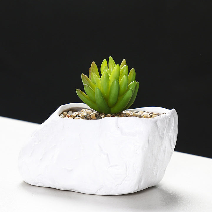 Creative Stone-Shaped Succulent Planter Bowlift