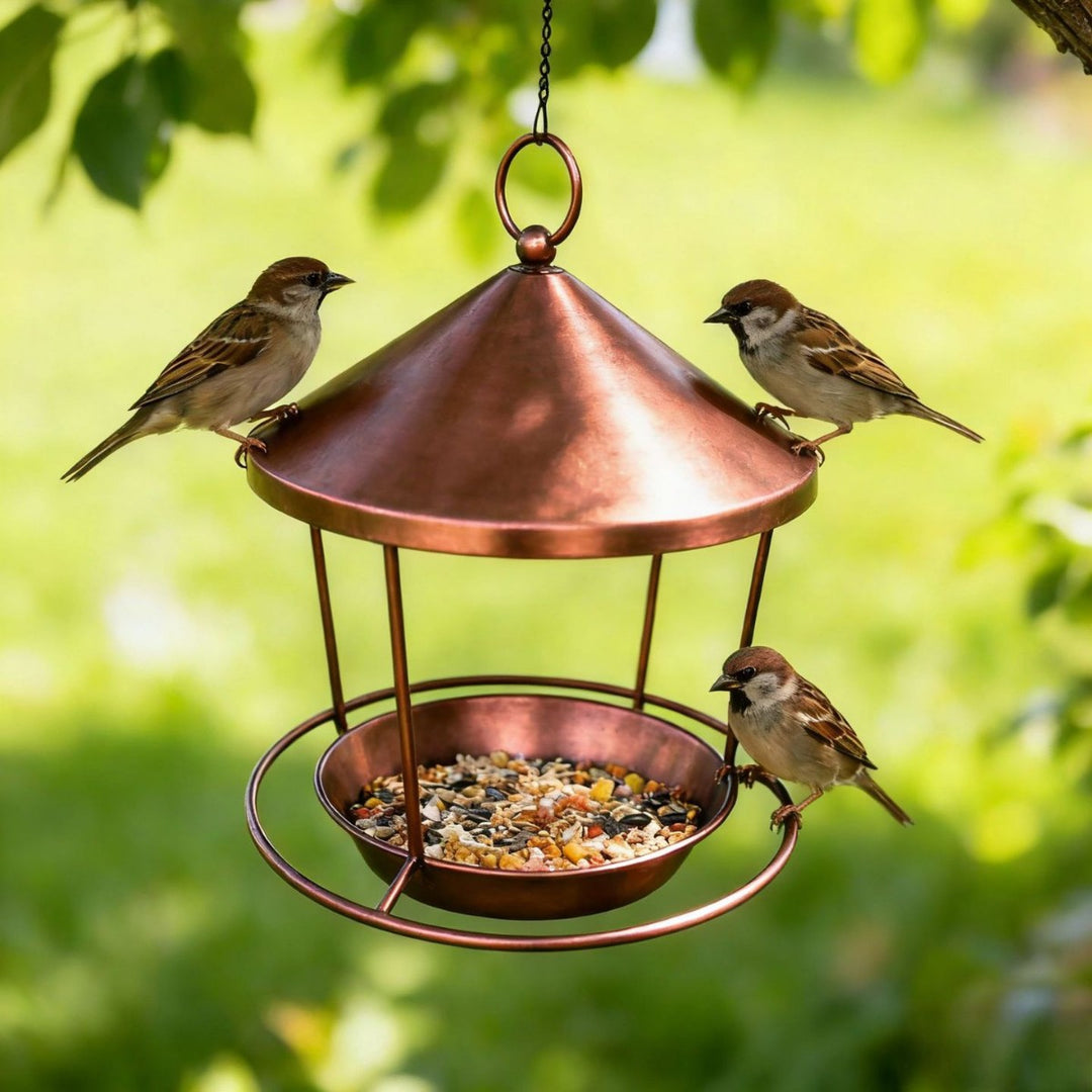 Hanging Bird Feeder Station made of Iron, Ring Design