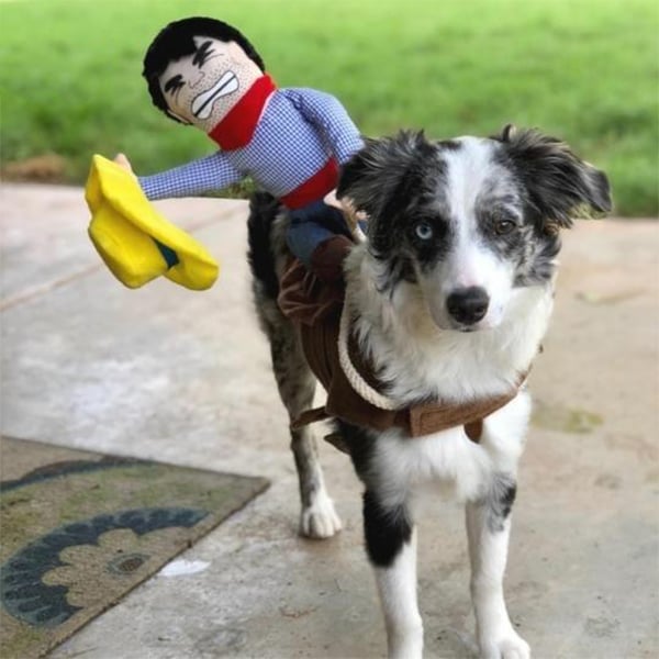 BowLift | The Cowboy Rider Dog Costume