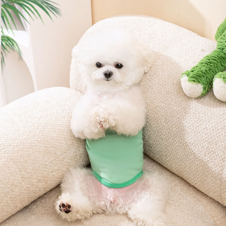 Washable hygiene diapers for dogs, cartoon design