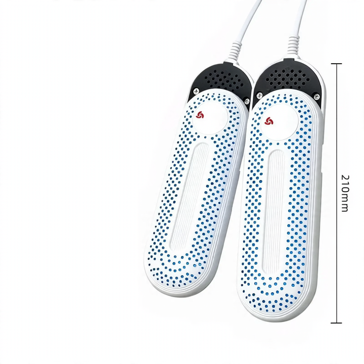 Electric shoe dryer with timer function