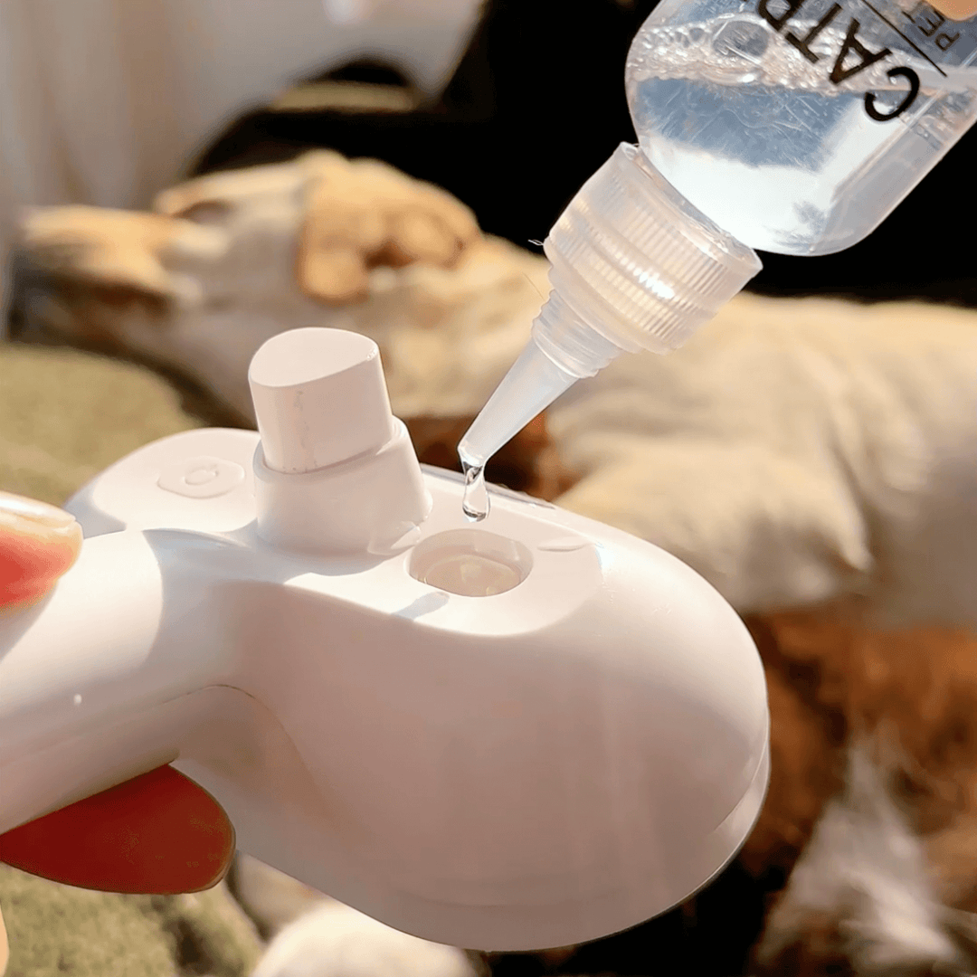 BowLift | DampfVacht Steam Brush – Gentle Care for Every Dog Coat
