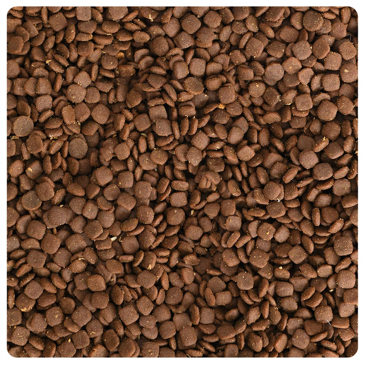 Diatomaceous Earth Desiccant for Animal Feed Containers