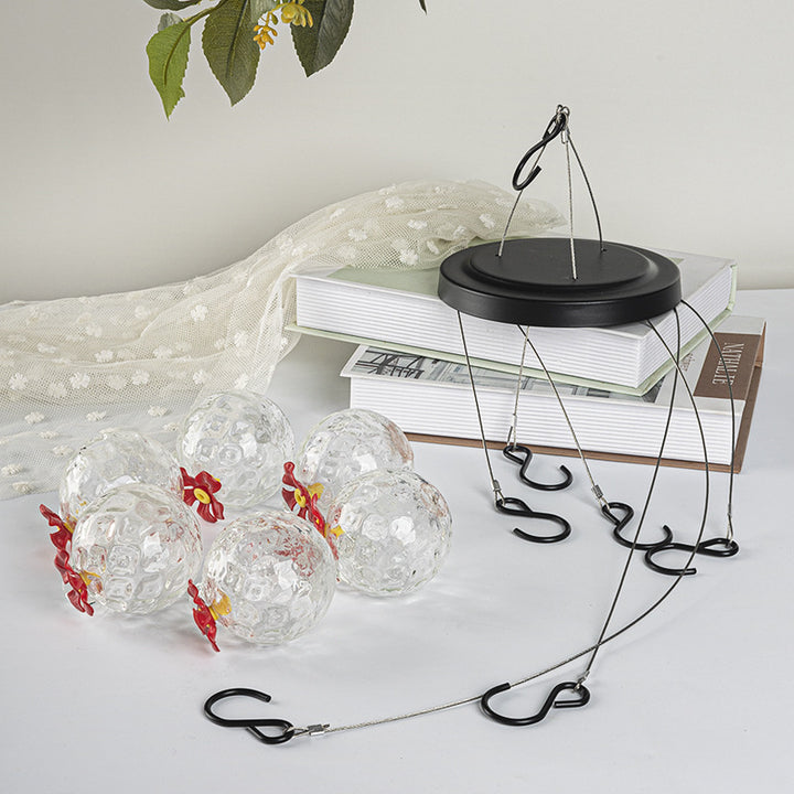 Transparent Glass Sphere Bird Feeder for Hanging