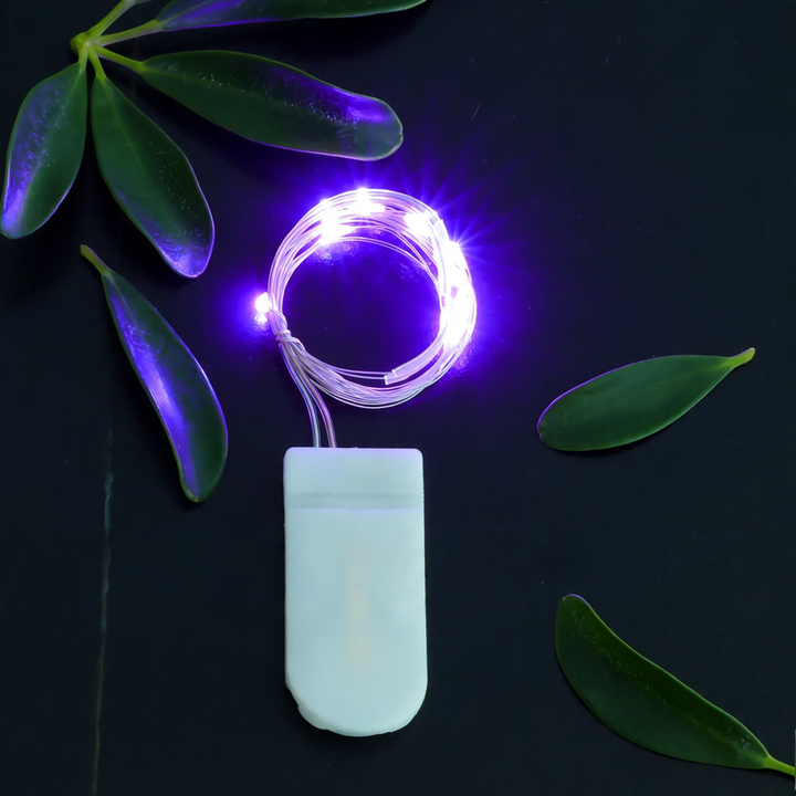 LED copper wire light string with button cell battery box