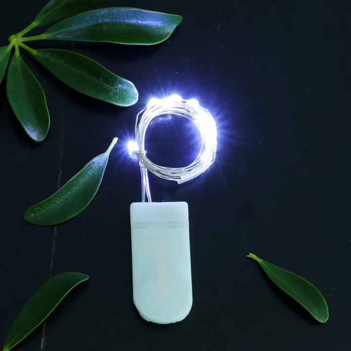 LED copper wire light string with button cell battery box