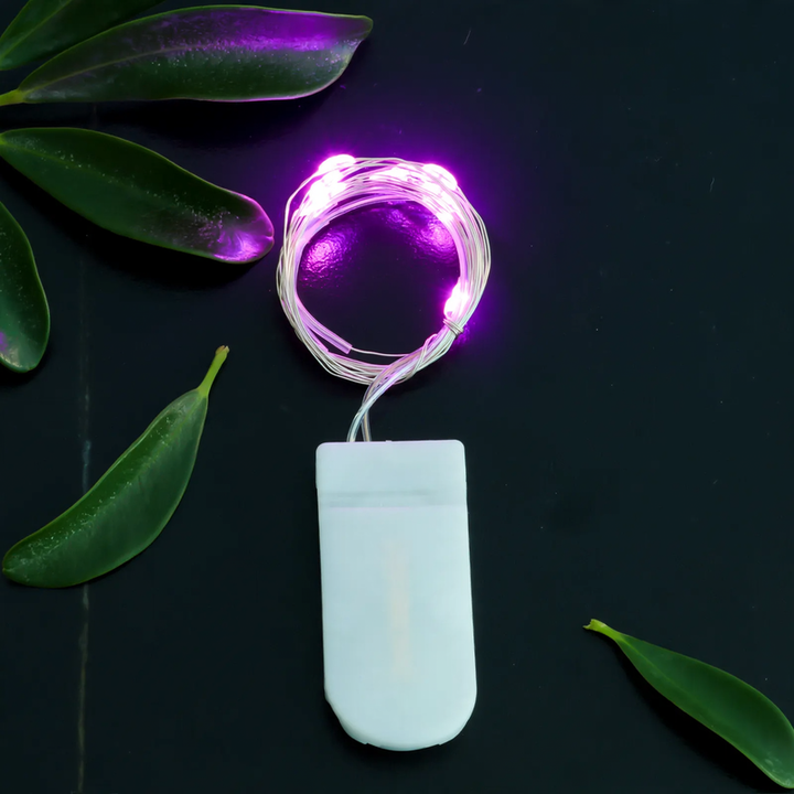LED copper wire light string with button cell battery box