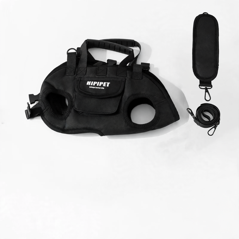 Multifunctional Pet Carrier Bag with Leash