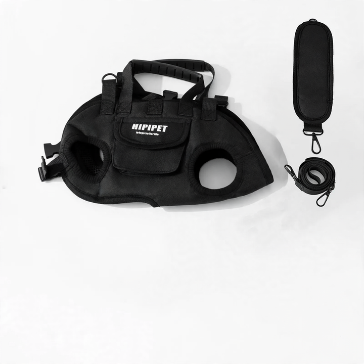 Multifunctional Pet Carrier Bag with Leash