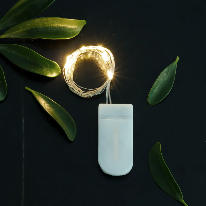LED copper wire light string with button cell battery box