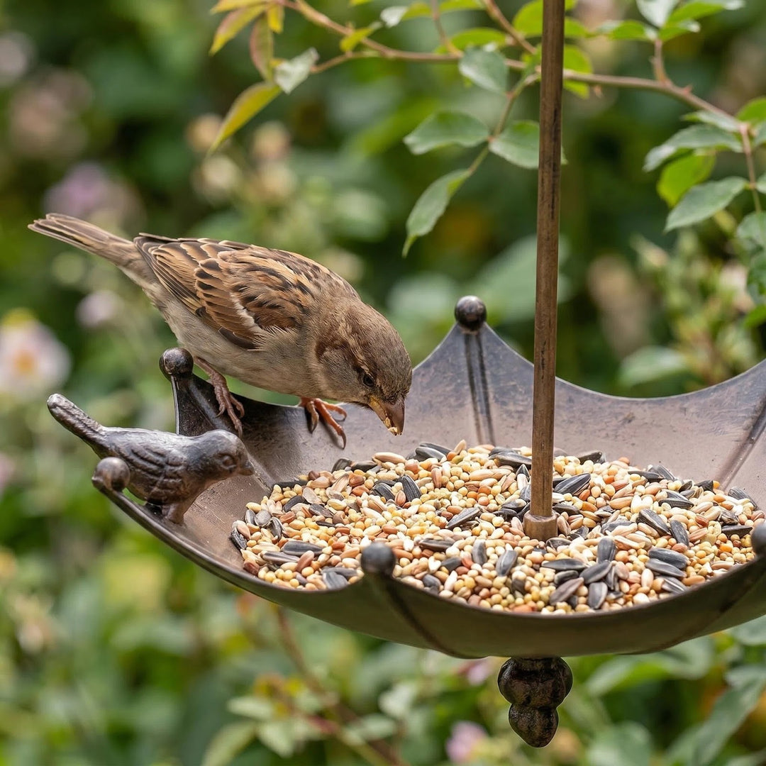 Decorative birdbath made of iron in umbrella design