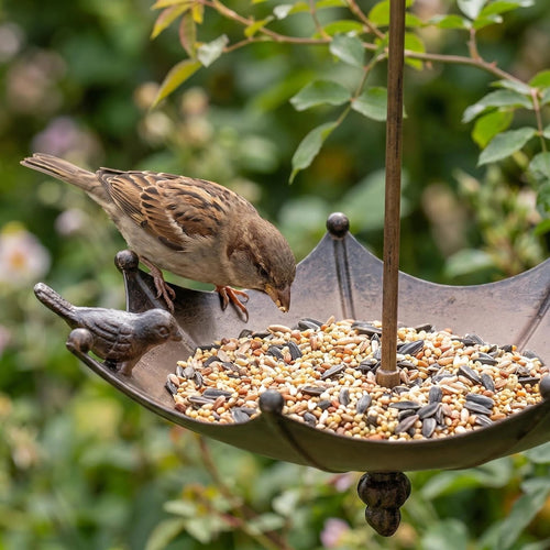Decorative birdbath made of iron in umbrella design