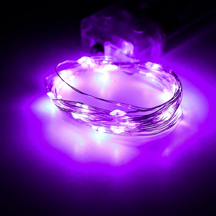 LED Copper Wire String Lights with Battery Box