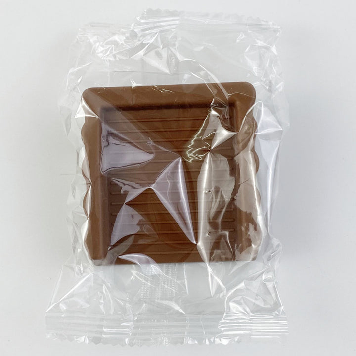 TPR-Doorstopper, modern