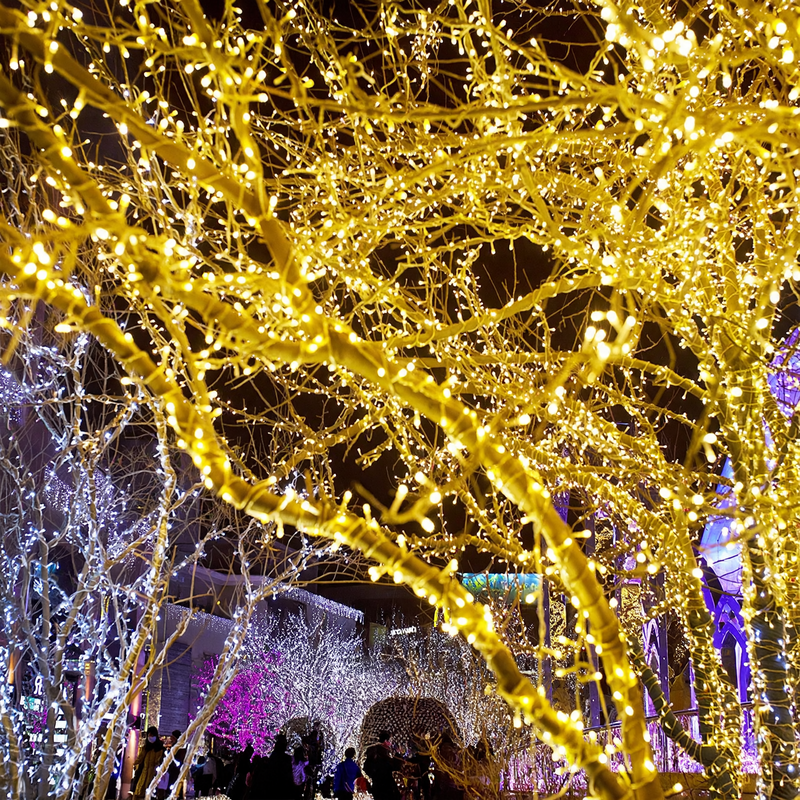 LED string lights for indoor and outdoor use
