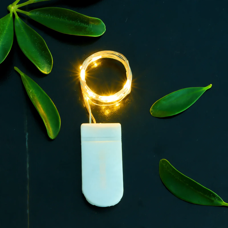 LED copper wire light string with button cell battery box