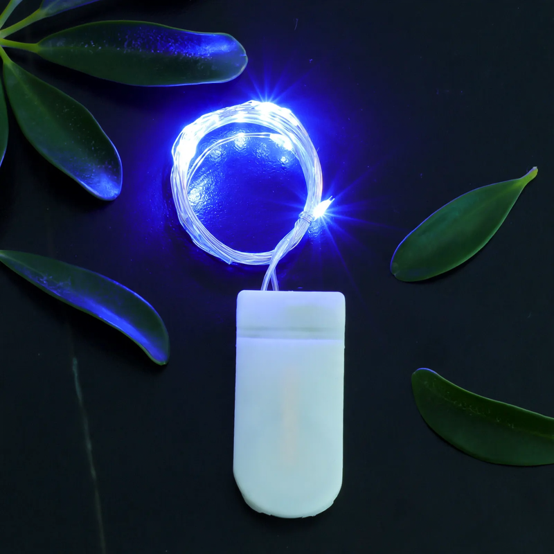 LED copper wire light string with button cell battery box