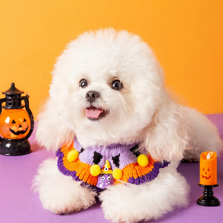 Halloween Collar with Pumpkin Pattern for Dogs