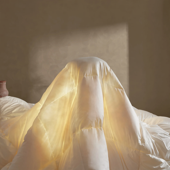 Ultra-fine down quilt, four seasons