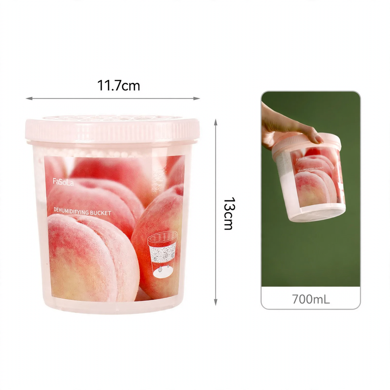 Moisture absorber for interiors