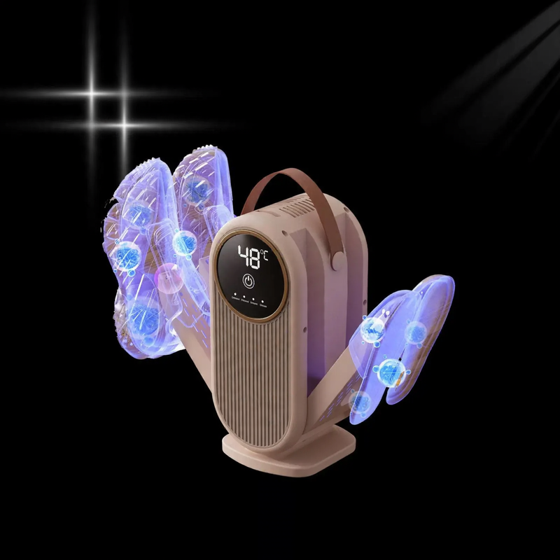 Electric shoe dryer with timer and disinfection function