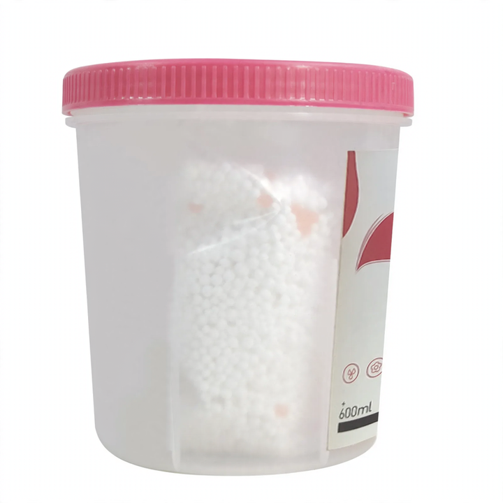 Dehumidifier container for moisture control