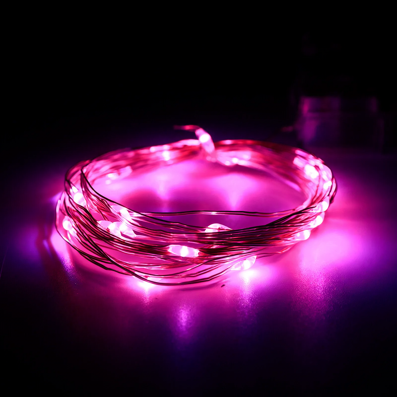 LED Copper Wire String Lights with Battery Box