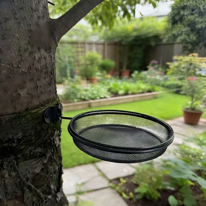 Wall-mounted iron feeding station