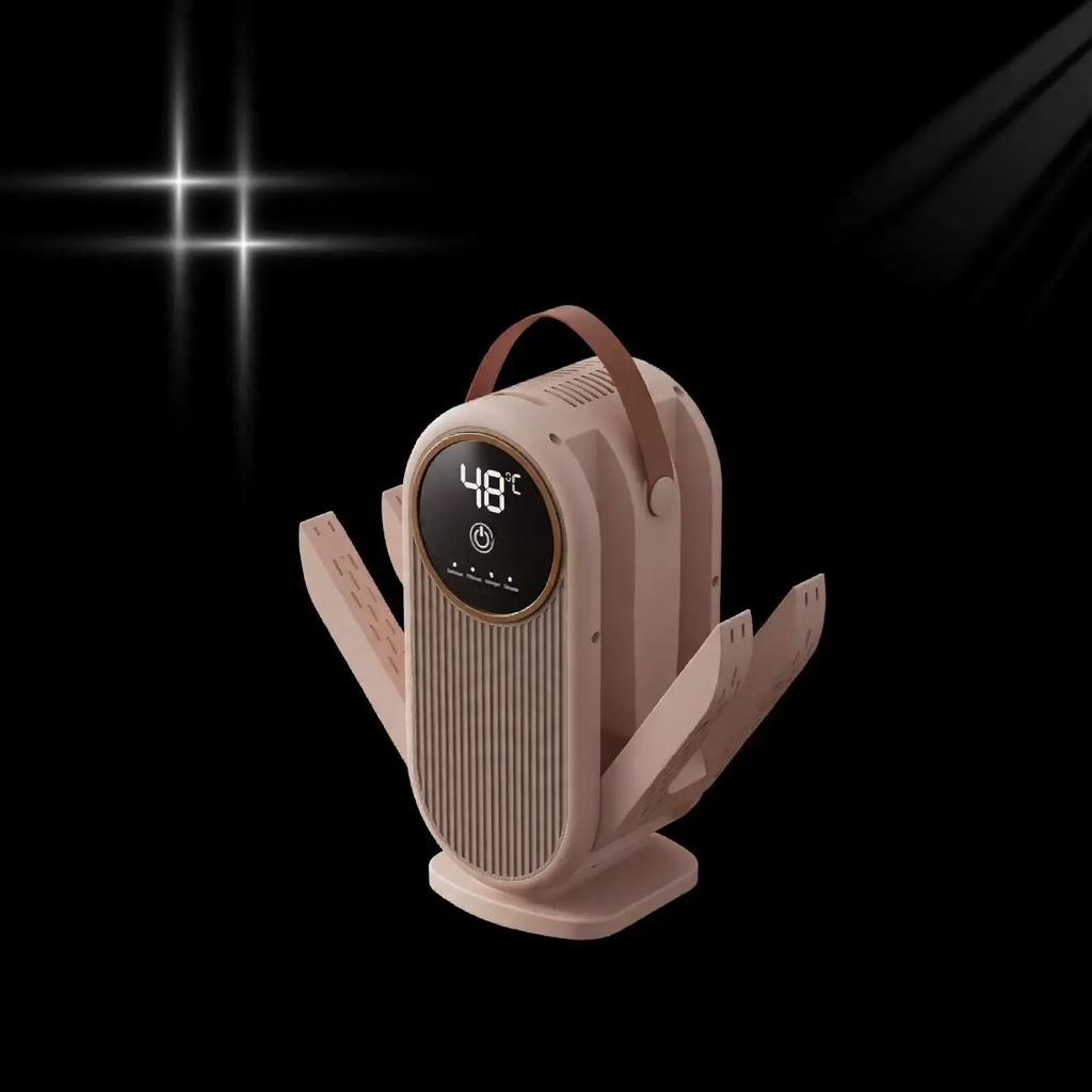 Electric shoe dryer with timer and disinfection function