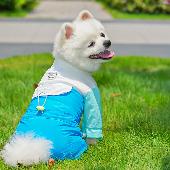 Light four-leg dog coat with wind protection