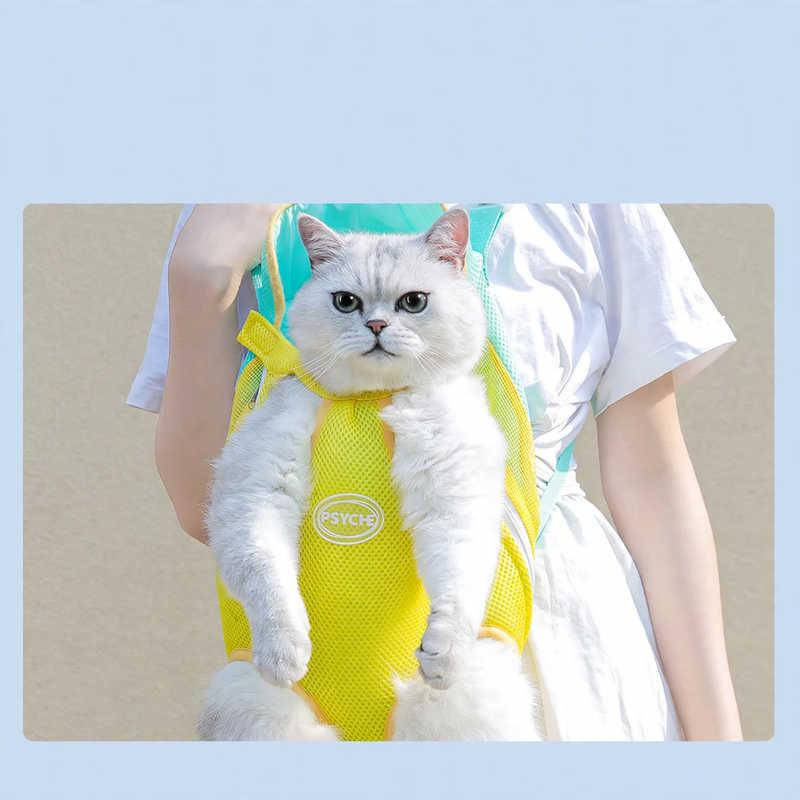 Portable pet bag, chest pouch