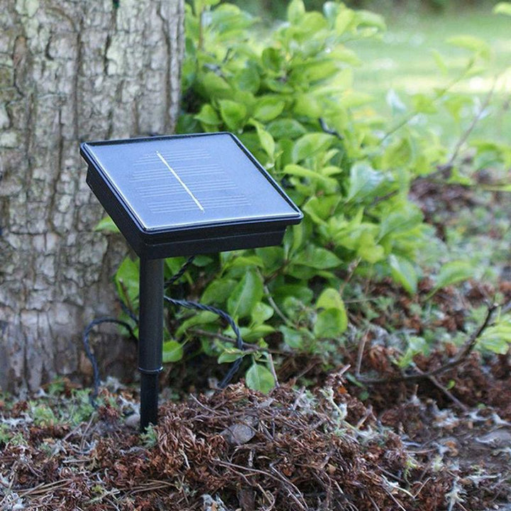 BowLift | Solar Rattan LED Lights