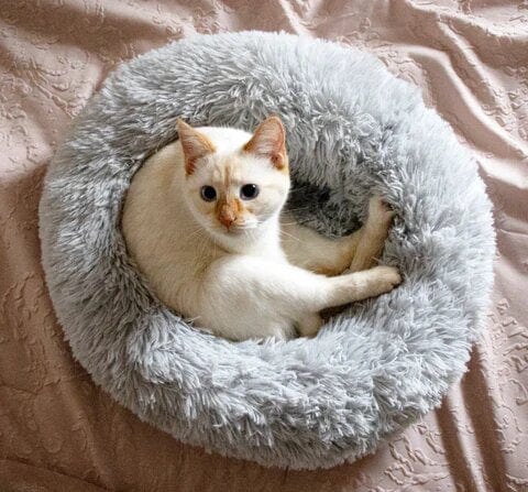 BowLift | Fluffy Calming Pet Bed for Dogs and Cats