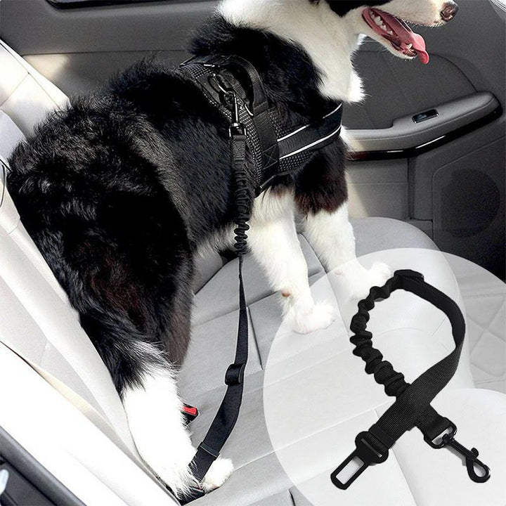 BowLift | Adjustable Safety Belts for Dogs