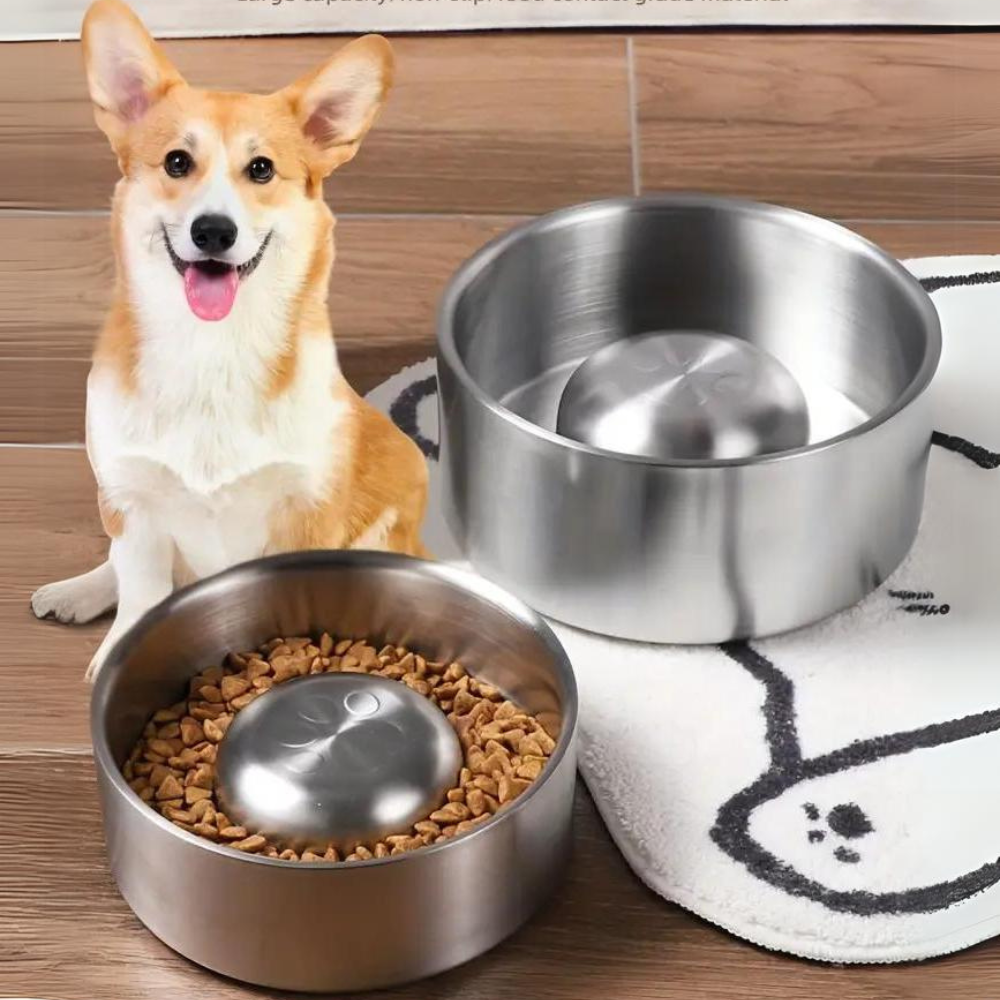 MealPace • Dog Feeding Bowl Slow