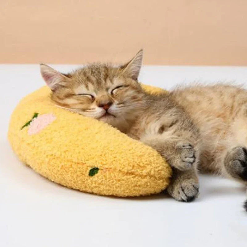 BowLift | Cat Beautiful cozy pillow