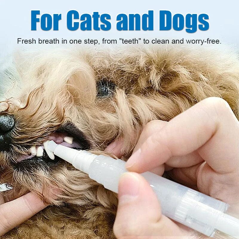 BowLift | New Improved Pet Toothbrush Pen