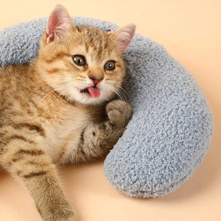 BowLift | Cat Beautiful cozy pillow