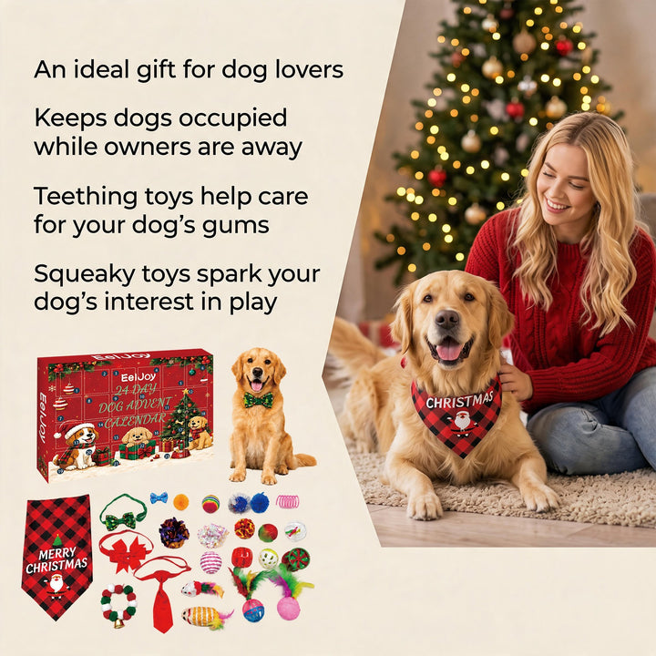 Advent calendar for dogs