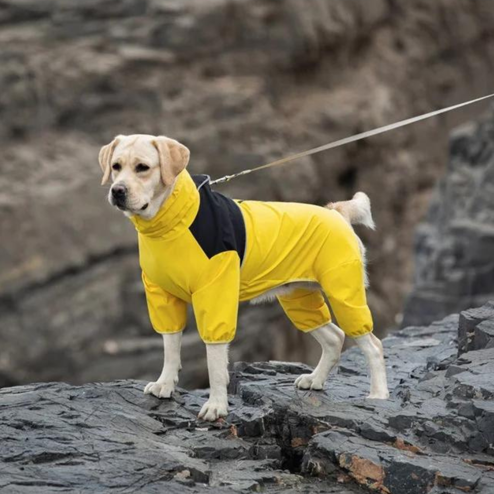 StormGuard • Dog Waterproof Raincoat