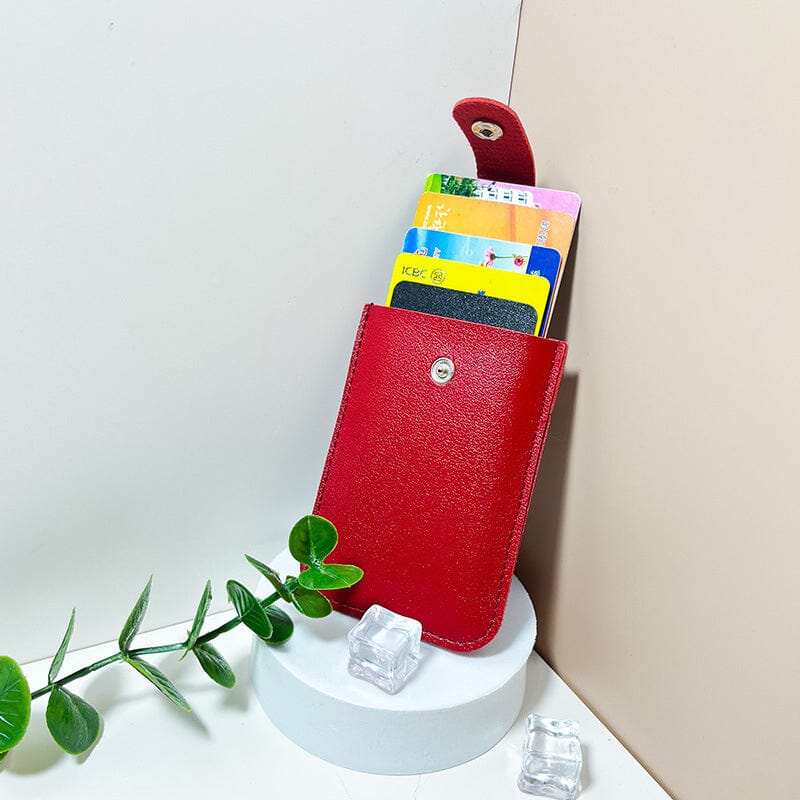 BowLift | Card holder - All your passports at your fingertips - Practical and stylish