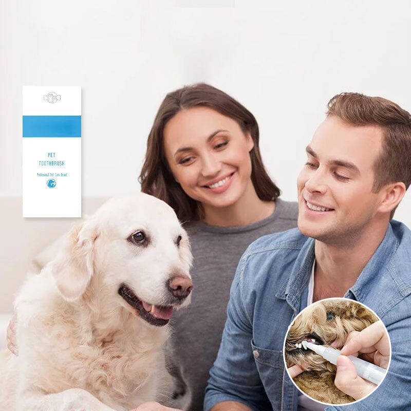 BowLift | New Improved Pet Toothbrush Pen