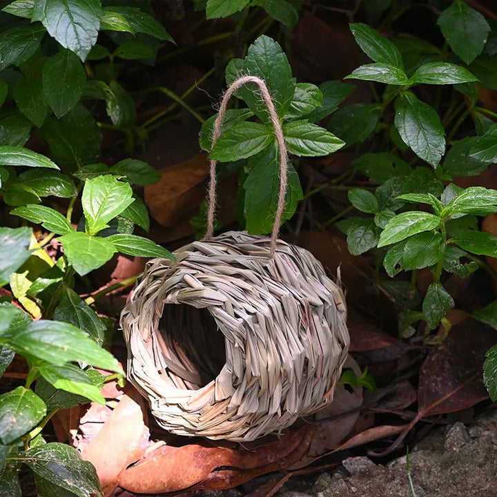 BowLift | Hummingbird Nest House
