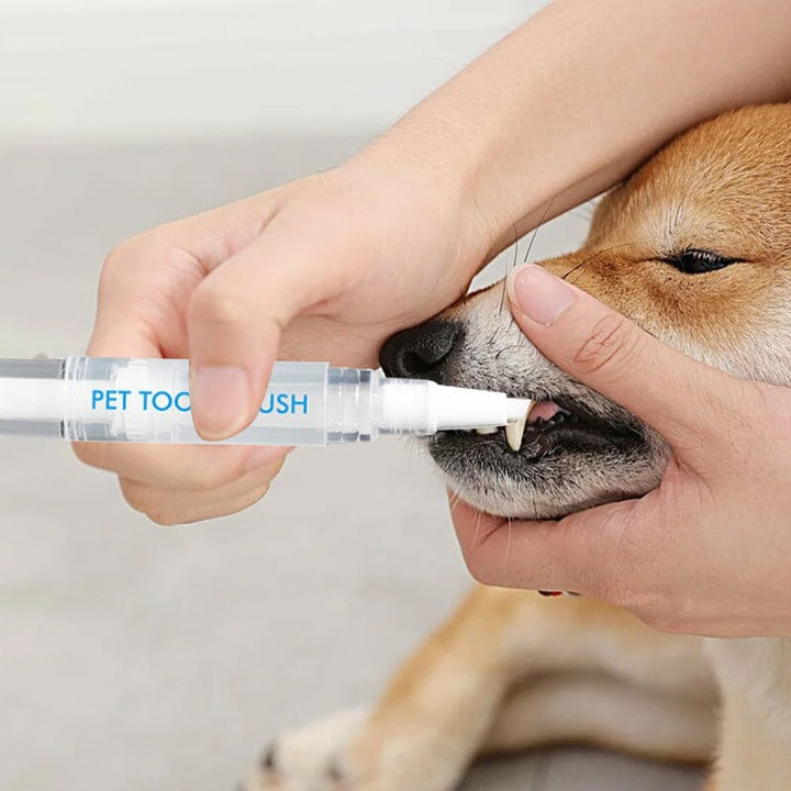 BowLift | New Improved Pet Toothbrush Pen
