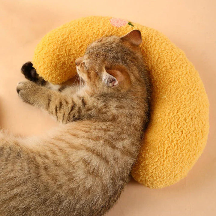 BowLift | Cat Beautiful cozy pillow