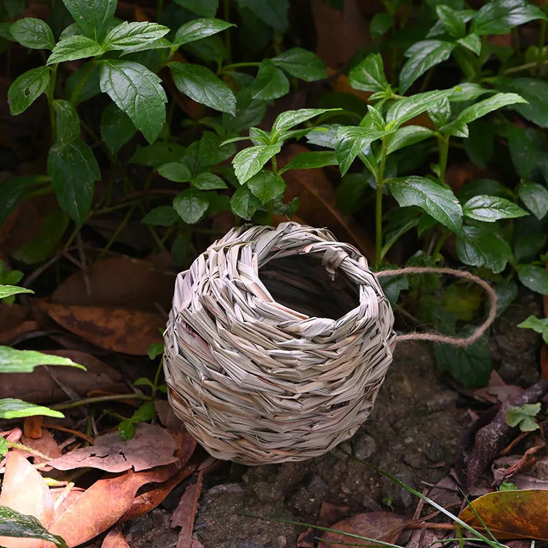 BowLift | Hummingbird Nest House