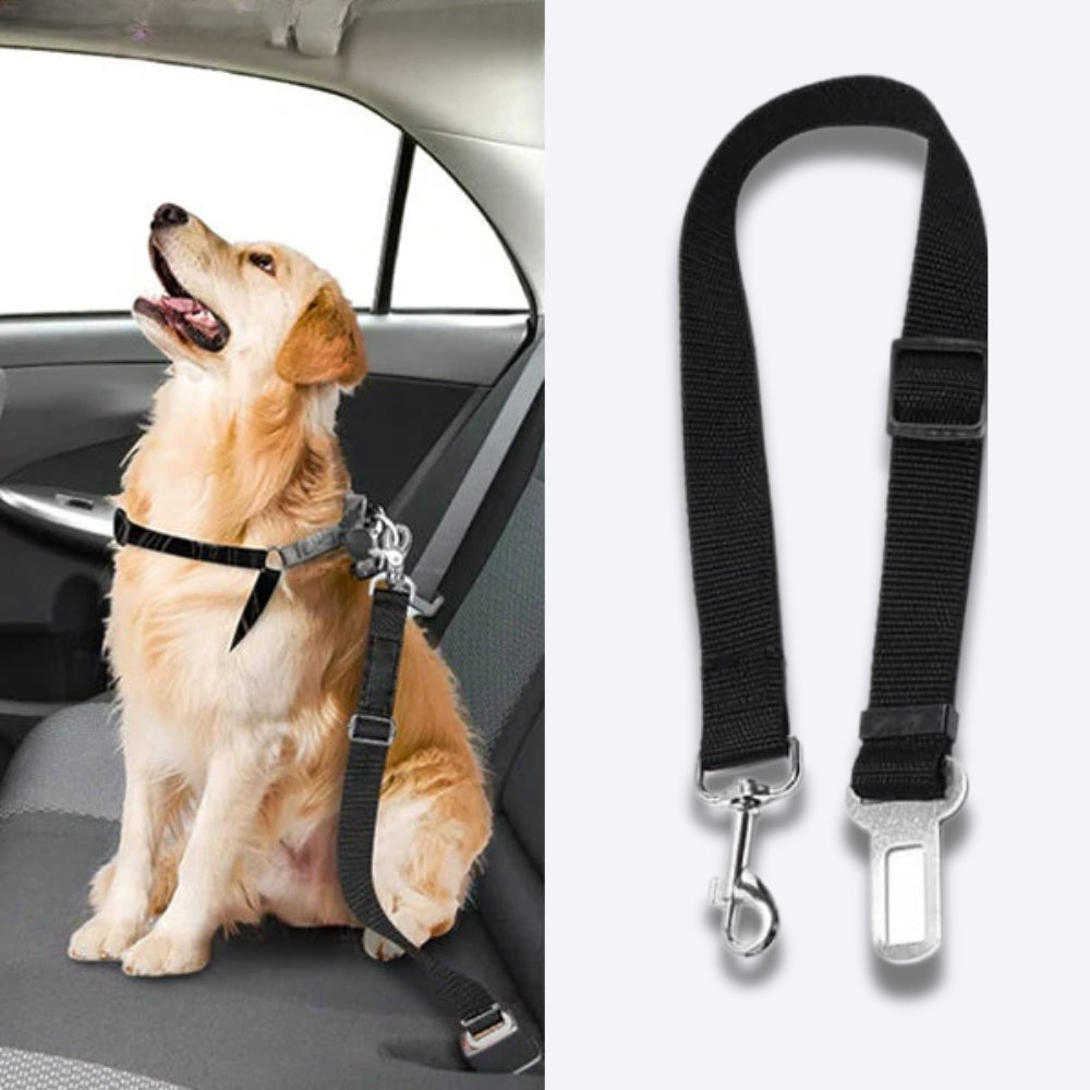 PetSecure • Dog Seat Belt