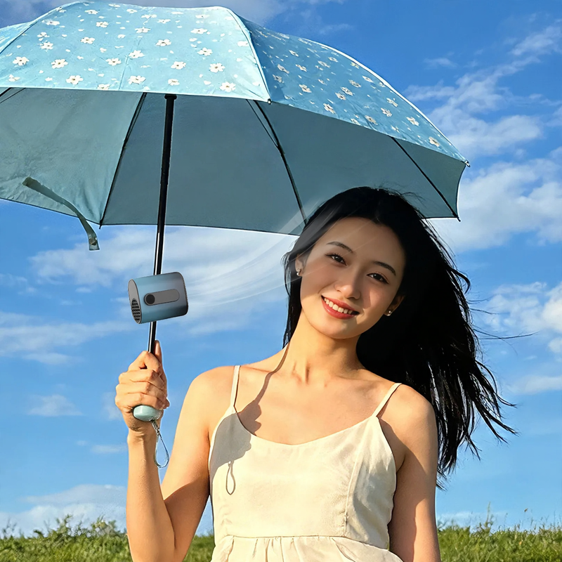Multifunctional outdoor fan with light