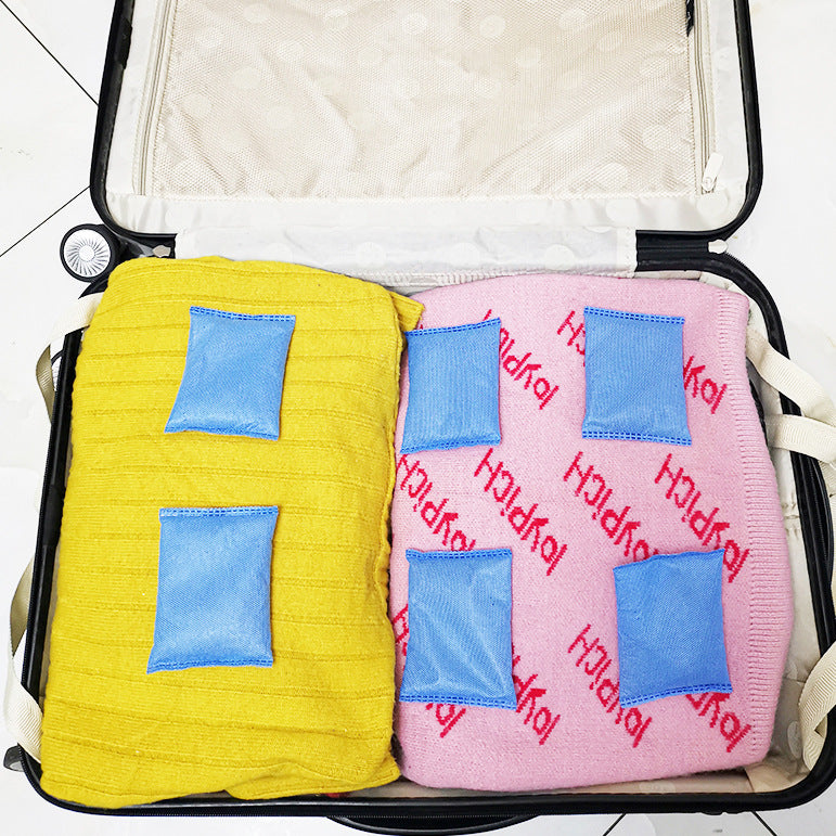 Moisture-absorbing bag for the wardrobe
